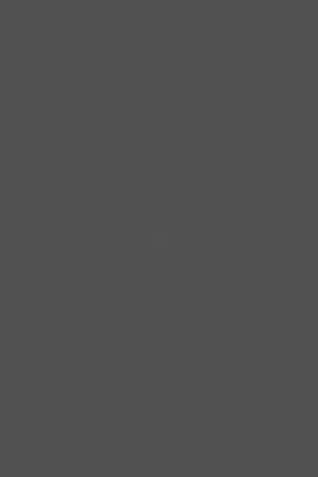 Zeulenroda Präzision Maschinenbau GmbH